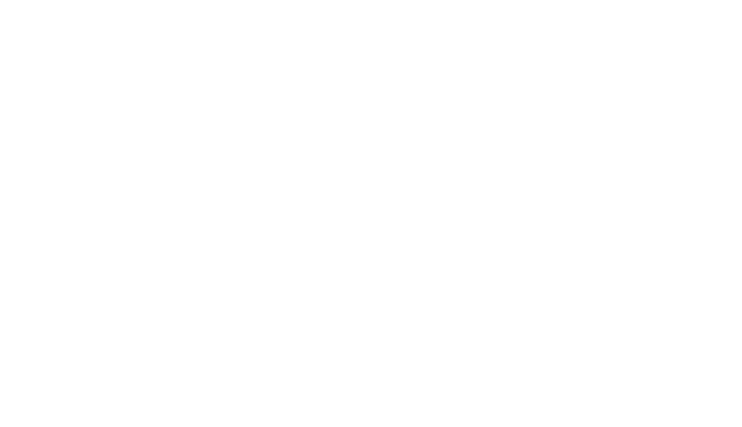 Wolf Premium Service